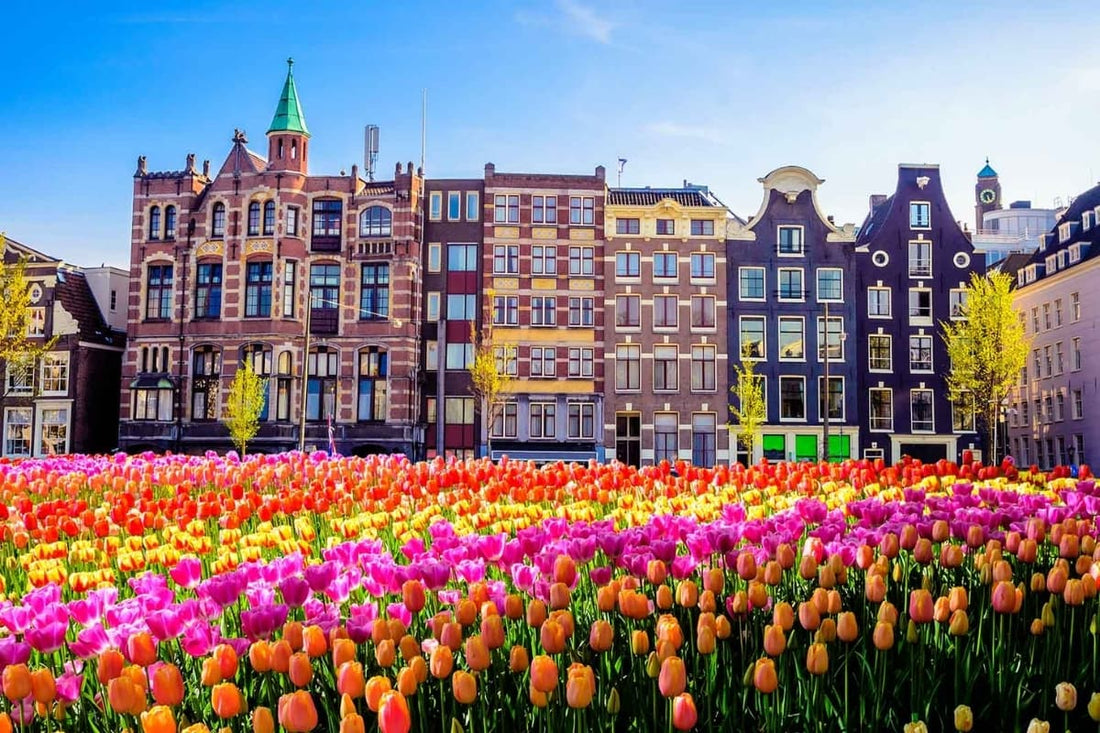 Best Things to Do in Amsterdam in 2026